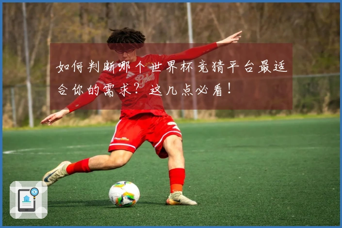 如何判断哪个世界杯竞猜平台最适合你的需求？这几点必看！