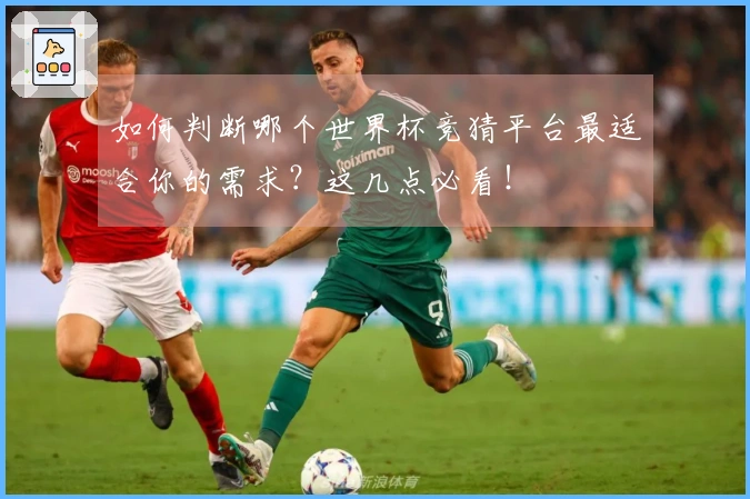 如何判断哪个世界杯竞猜平台最适合你的需求？这几点必看！