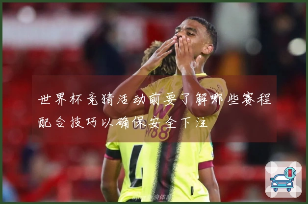 世界杯竞猜活动前要了解哪些赛程配合技巧以确保安全下注
