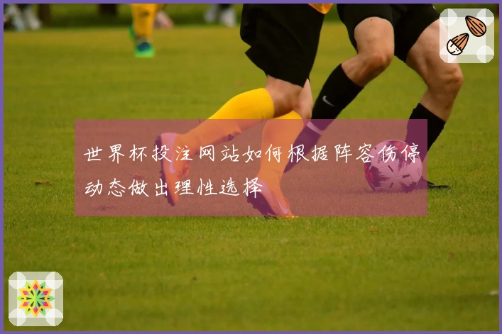 世界杯投注网站如何根据阵容伤停动态做出理性选择