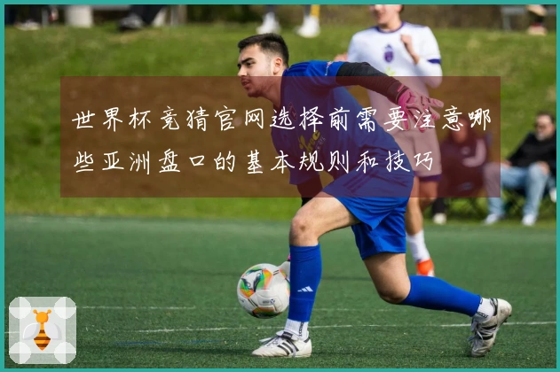 世界杯竞猜官网选择前需要注意哪些亚洲盘口的基本规则和技巧